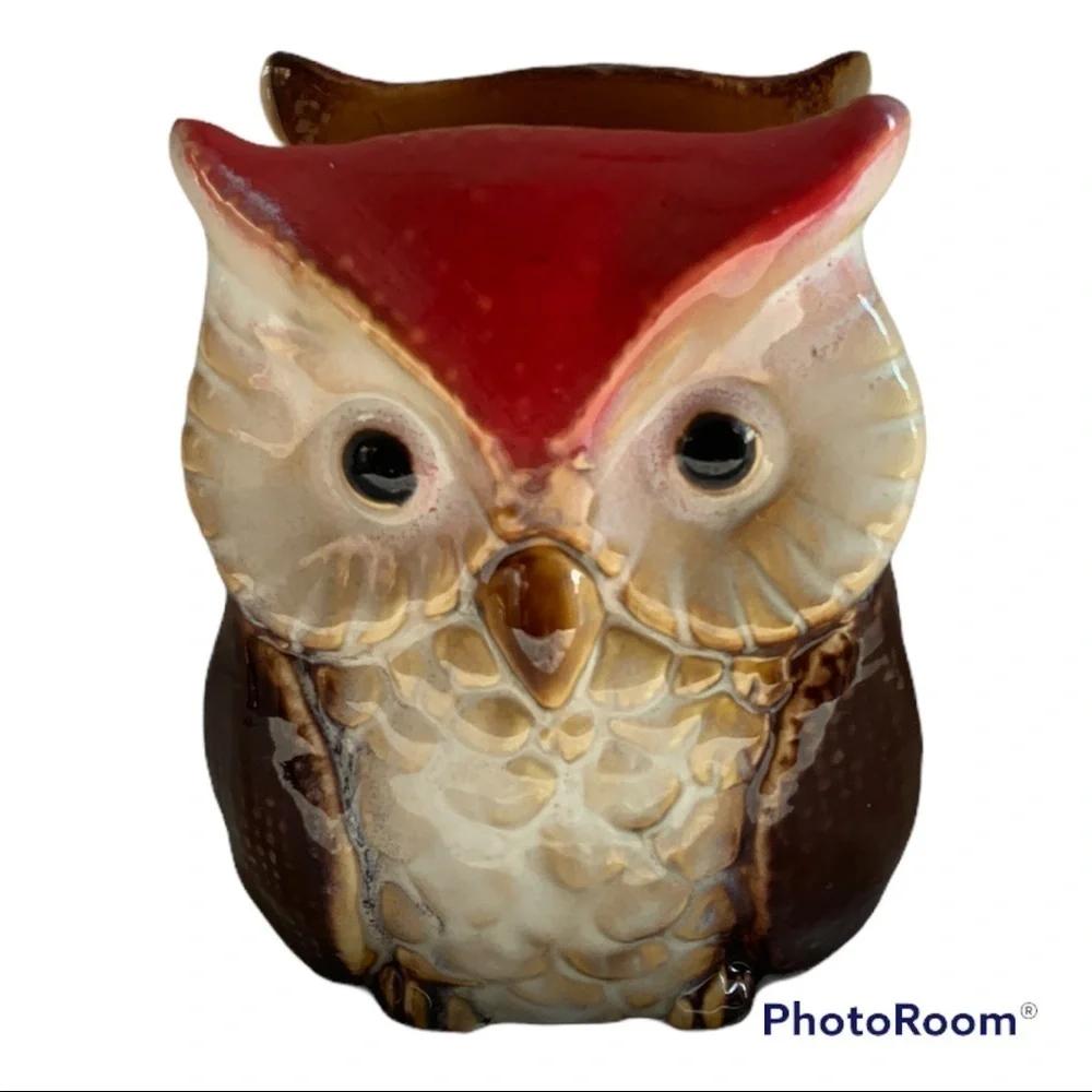 Owl Napkin Holder Hand Painted Glazed Ceramic Rustic Fall Autumn Colors